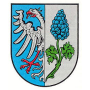 Wappen von Erpolzheim. Linke Hälfte ein halb zu sehender weißer Adler auf blauem Grund. Rechte Hälfte eine nach oben wachsende Rebe mit einer blauen Traube auf weißem Grund. 