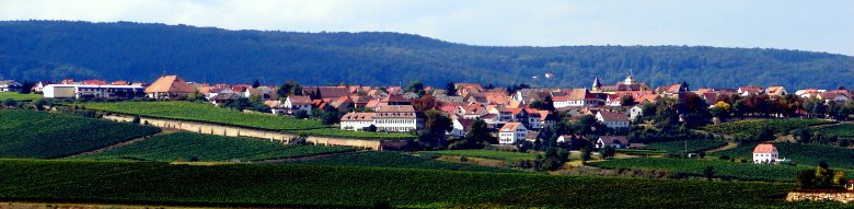 Blick über Herxheim am Berg. Im Vordergrund Reben, dahinter das Dorf, dahinter der Haardtrand. 