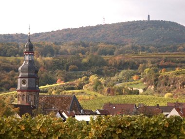 Blick auf Kallstadt, im Vordergrund das Dorf mit Kirche, im Hintergrund viel grün mit Wald und Reben. 