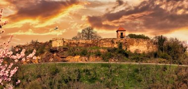 Burg Battenberg im Sonnenuntergang mit Wolken im Hintergrund und Wald im Vordergrund. 