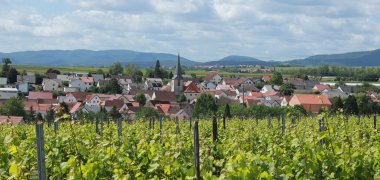 Ortsansicht mit Weinbergen im Vordergrund, dahinter das Dorf, dahinter blauer Himmel mit weißen Wolken. 