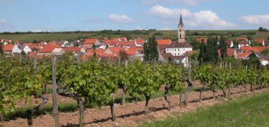 Kindernheim in der Bildmitte, davor Weinbergzeilen, dahinter blauer Himmel mit Wolken. 