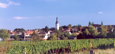 Ortsansicht von Kirchheim mit blauem Himmel, Weinbergen im Vordergrund und Kirchturm in Zentrum des Bildes. 