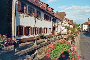 Straßenzug in Kleinkarlbach mit weißen Häusern und vielen Blumen. 