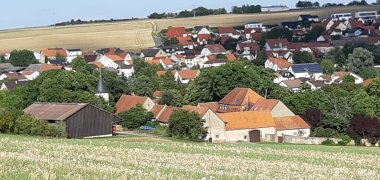 Ortsansicht von Quirnheim. Im Vordergrund ein hell blühendes Feld, im Hintergrund weitere Felder. 